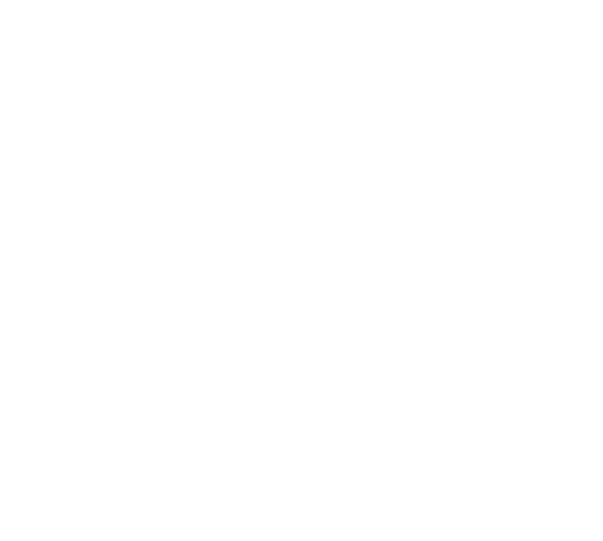 10 years badge
